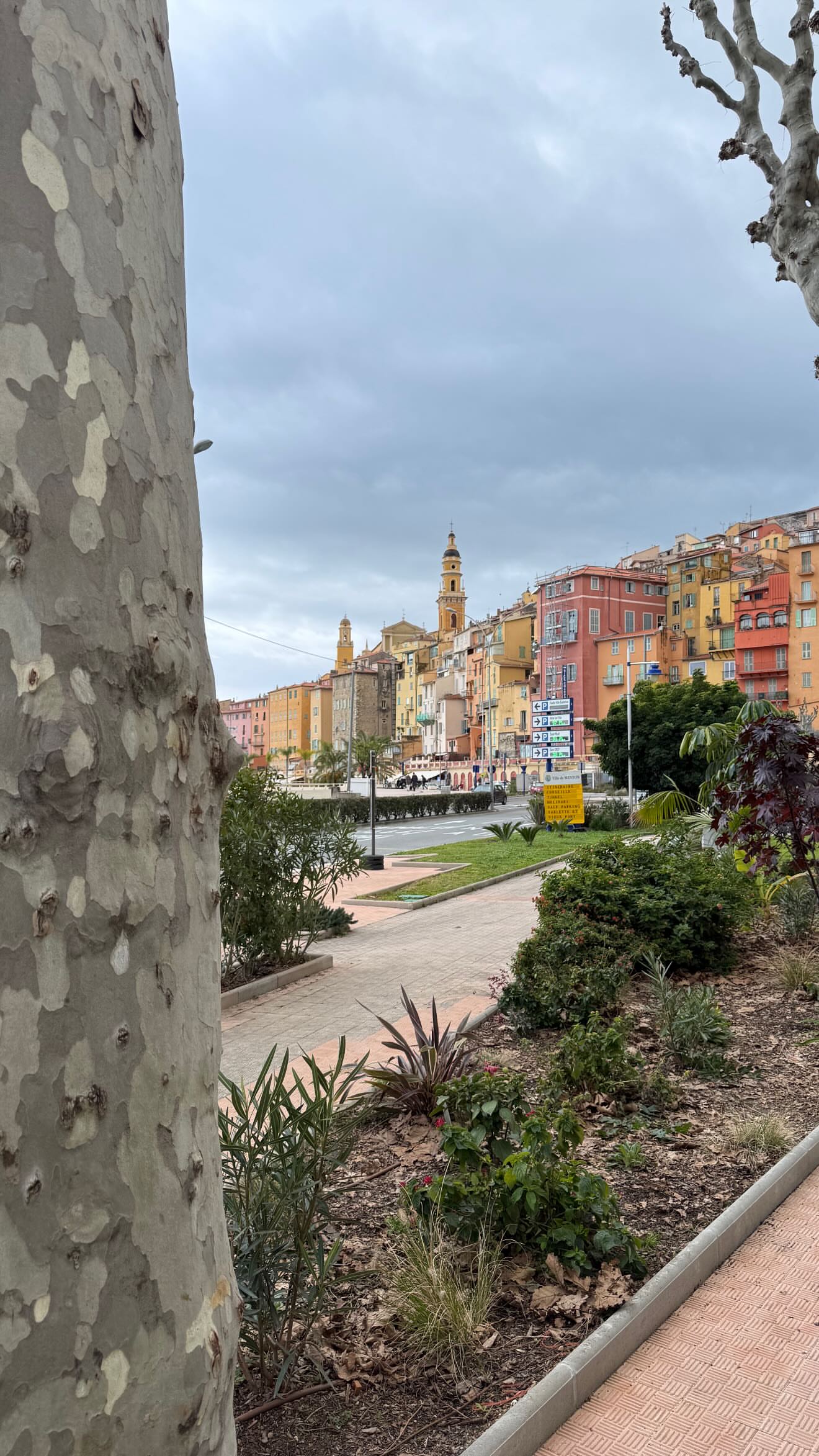 новая фото в сторис @chefalexmonaco 11.02.2026