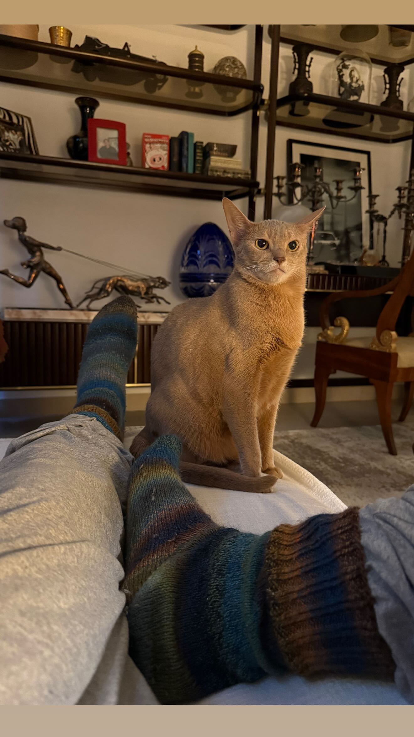 новая фото в сторис @chefalexmonaco 11.02.2026