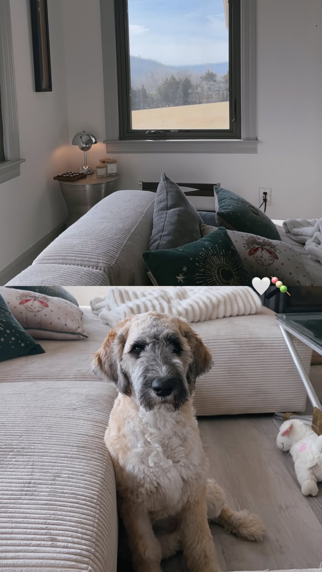 новая фото в сторис @iam_anna_g 11.02.2026