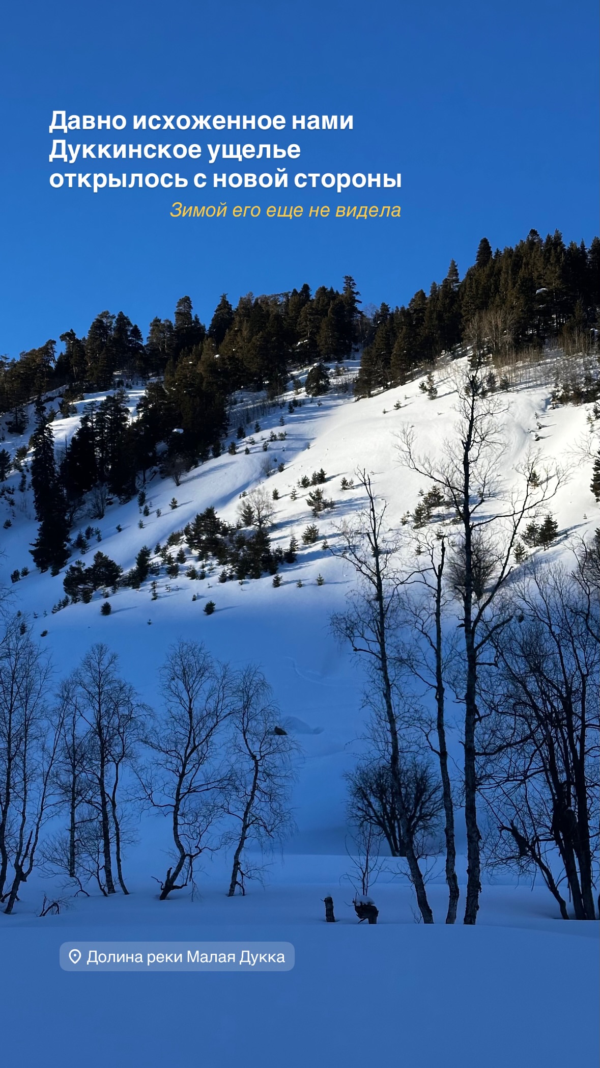 новая фото в сторис @svpogodina 11.02.2026