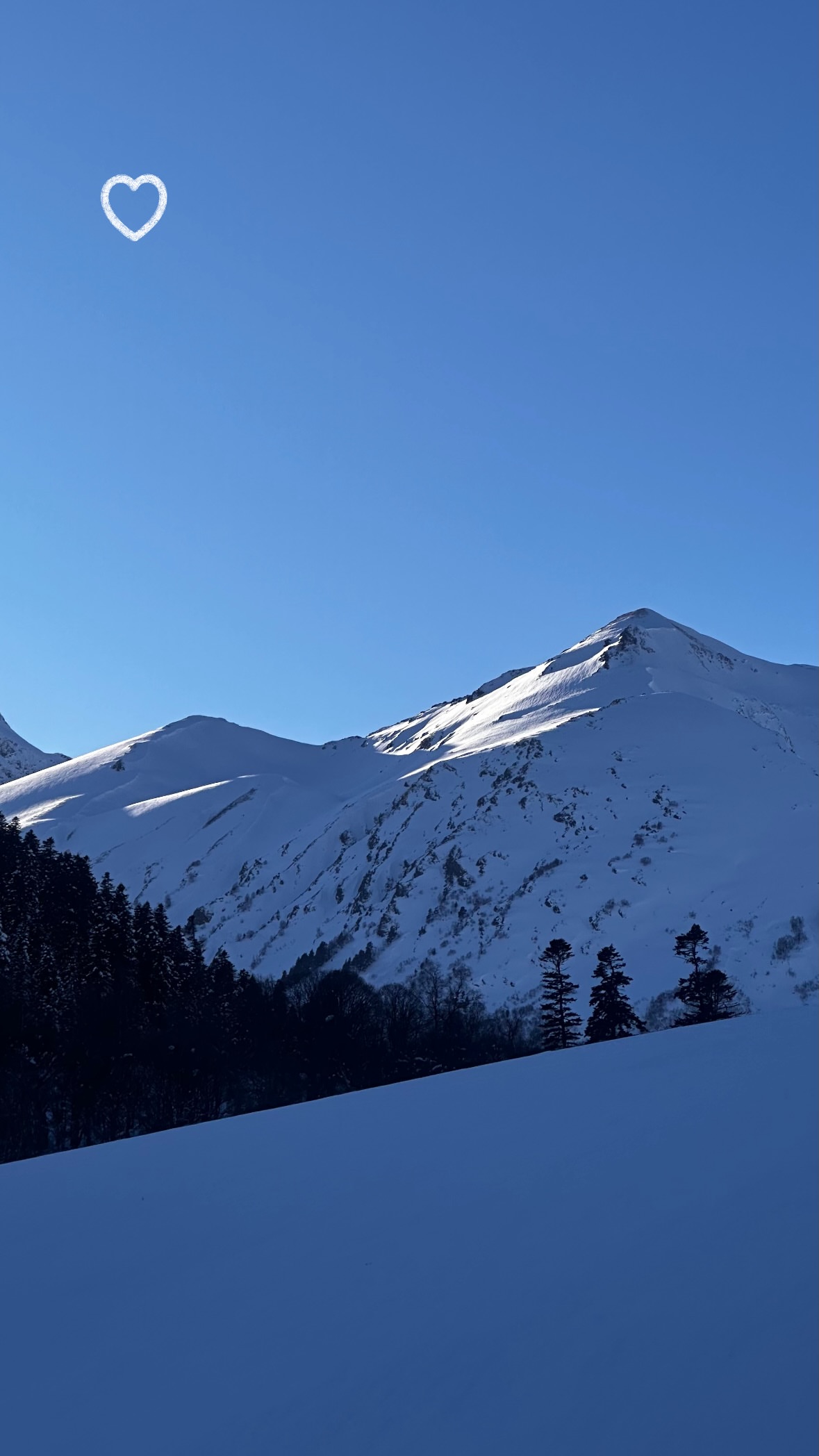 новая фото в сторис @svpogodina 11.02.2026