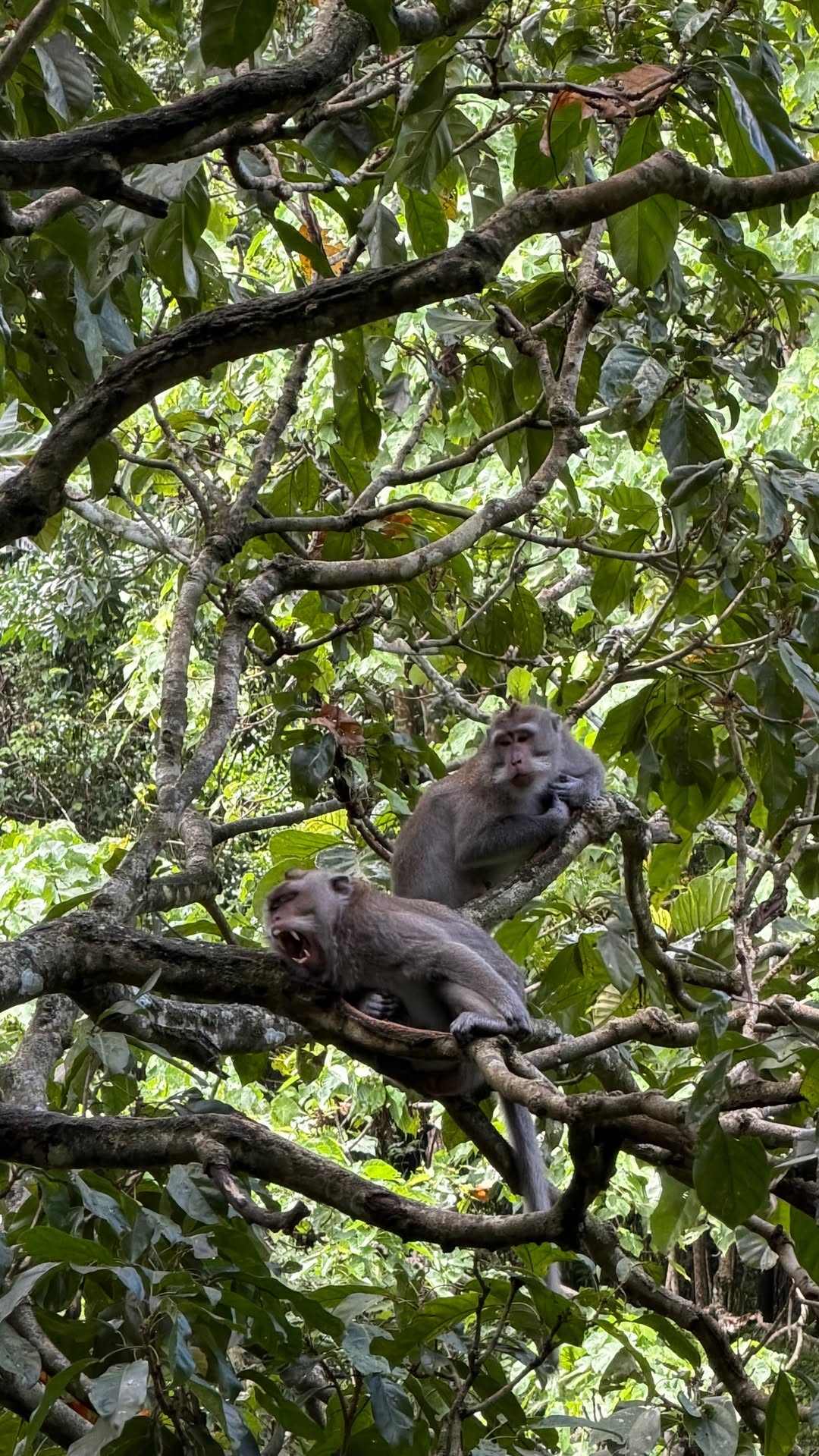 новая фото в сторис @alleksasa 11.02.2026