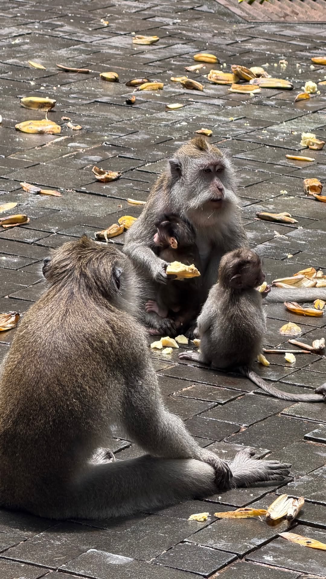 новая фото в сторис @alleksasa 11.02.2026