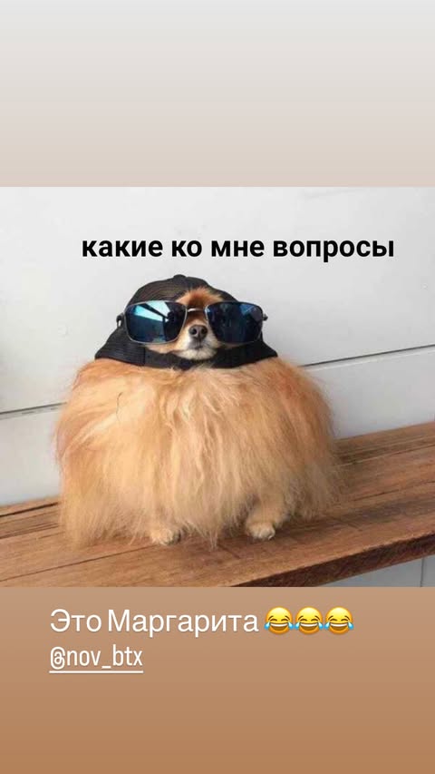 новая фото в сторис @elenkravchenko 11.02.2026