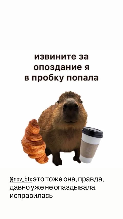 новая фото в сторис @elenkravchenko 11.02.2026