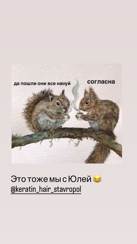 новая фото в сторис @elenkravchenko 11.02.2026