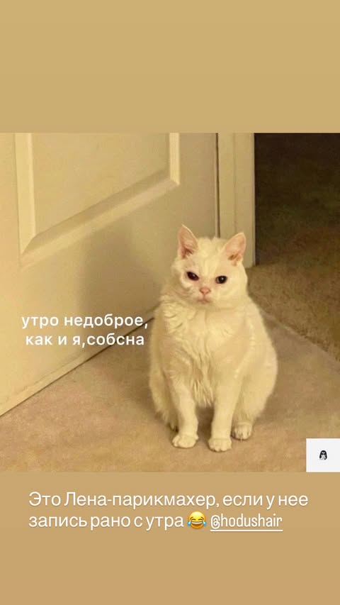 новая фото в сторис @elenkravchenko 11.02.2026