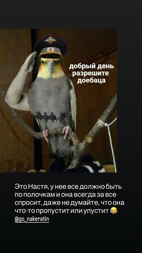 новая фото в сторис @elenkravchenko 11.02.2026