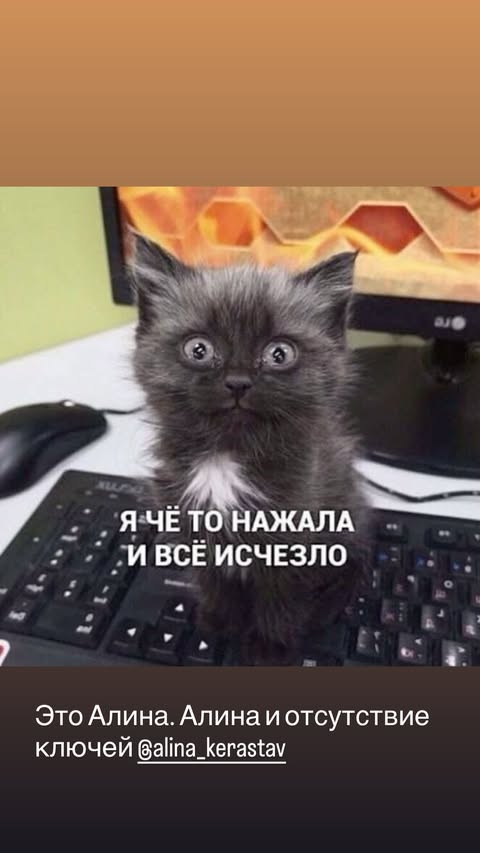 новая фото в сторис @elenkravchenko 11.02.2026