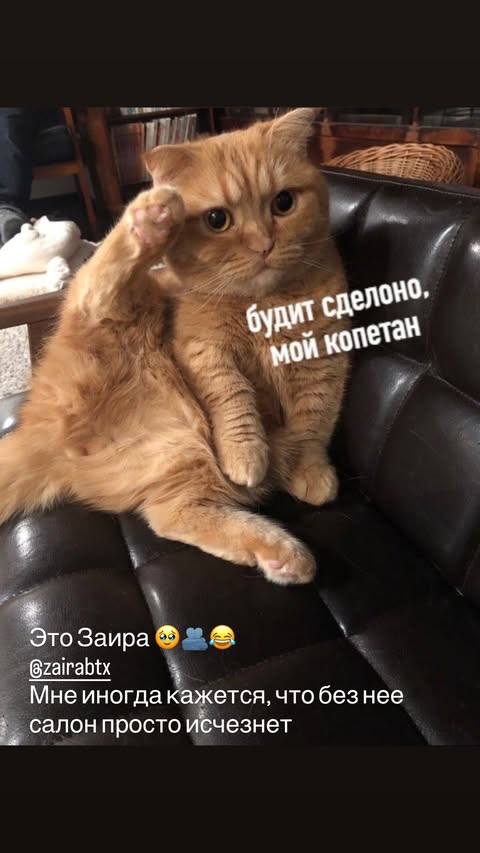 новая фото в сторис @elenkravchenko 11.02.2026