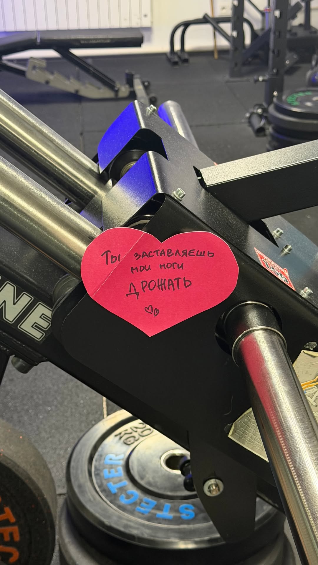 новая фото в сторис @kovalevahair 11.02.2026