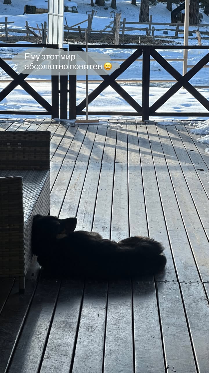 новая фото в сторис @svpogodina 12.02.2026