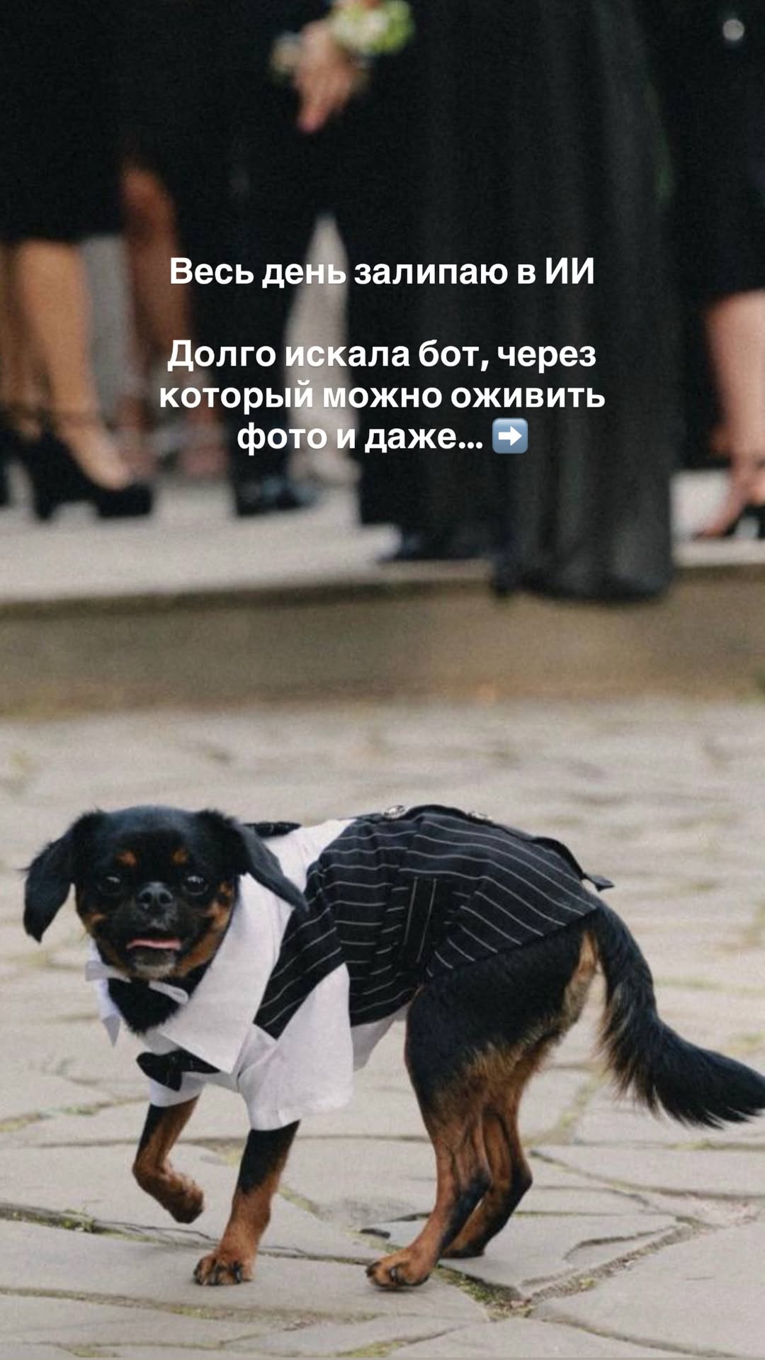 новая фото в сторис @alleksasa 12.02.2026