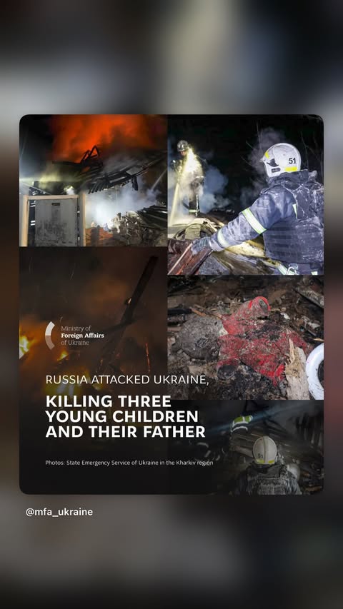 новая фото в сторис @lion 12.02.2026