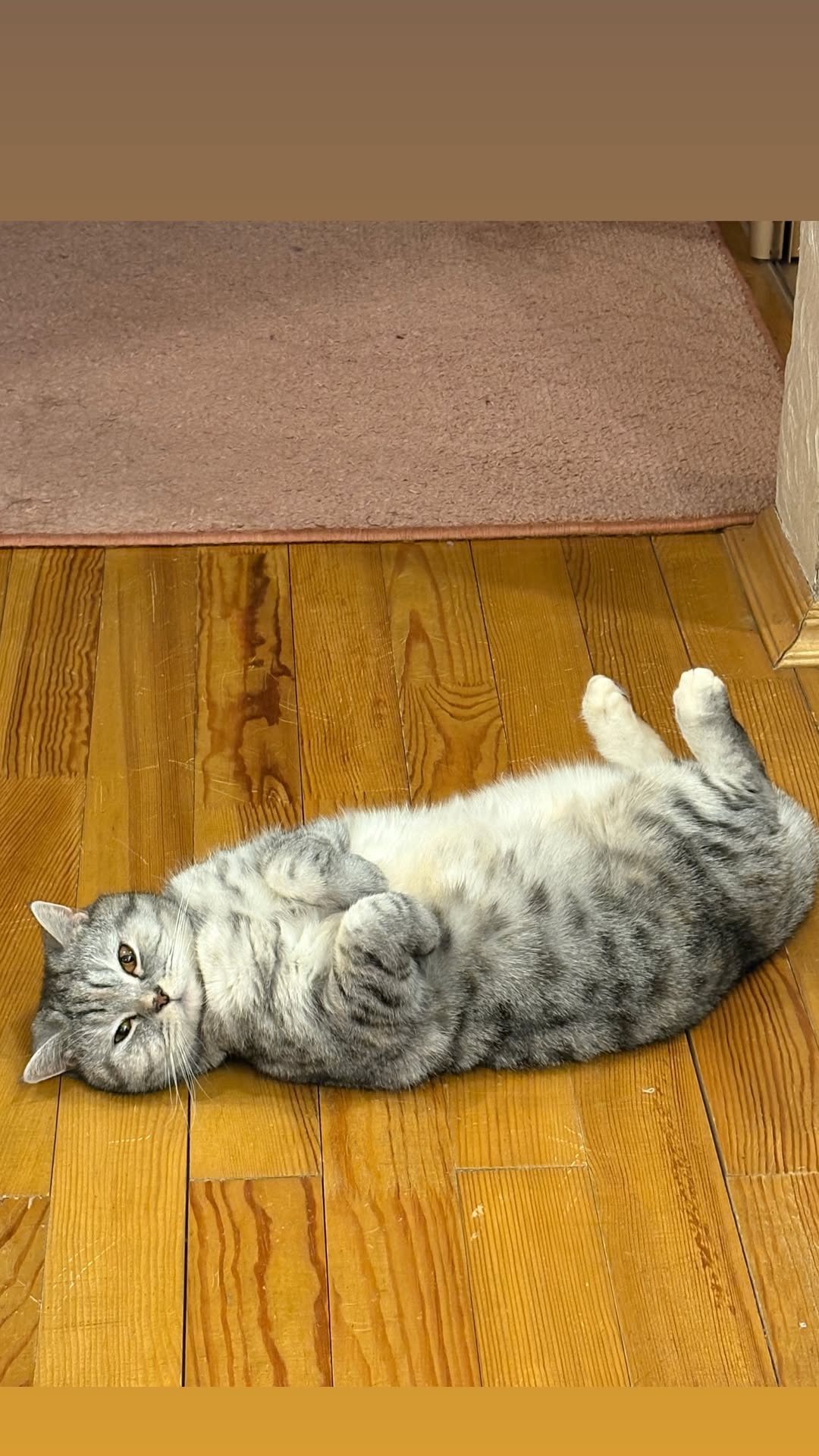 новая фото в сторис @velikayaanneta 12.02.2026