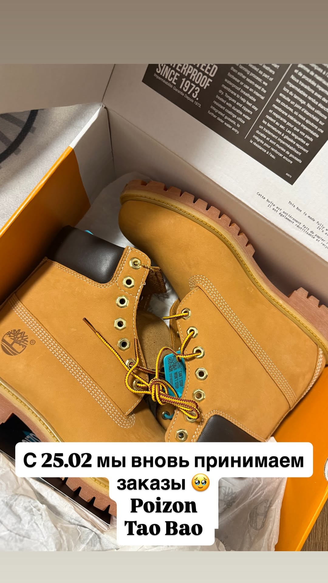 новая фото в сторис @kris.urasova 13.02.2026