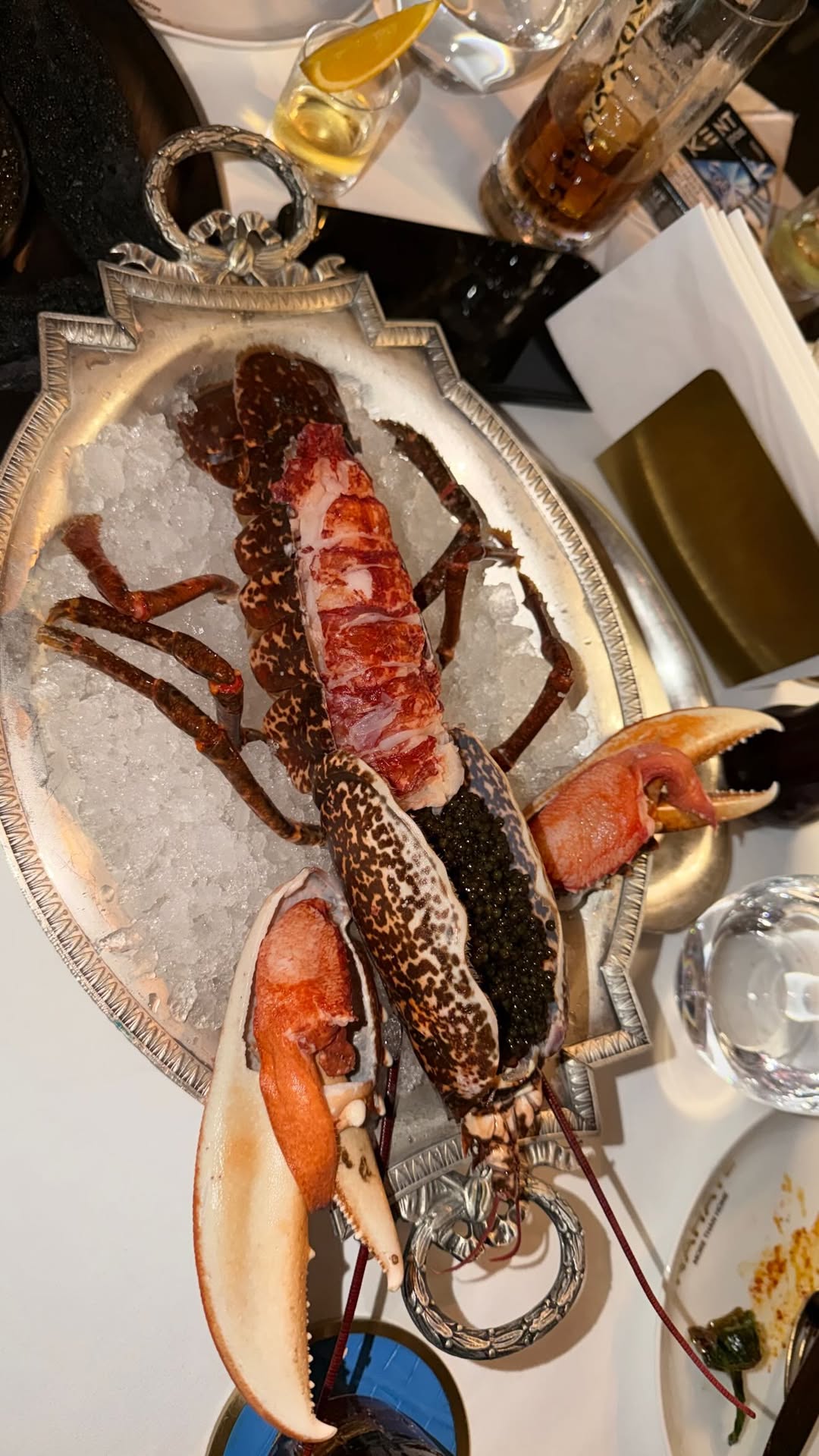 новая фото в сторис @borodylia 13.02.2026