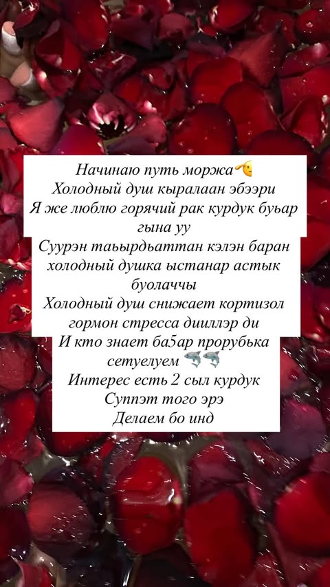 новая фото в сторис @goritrassvet 13.02.2026