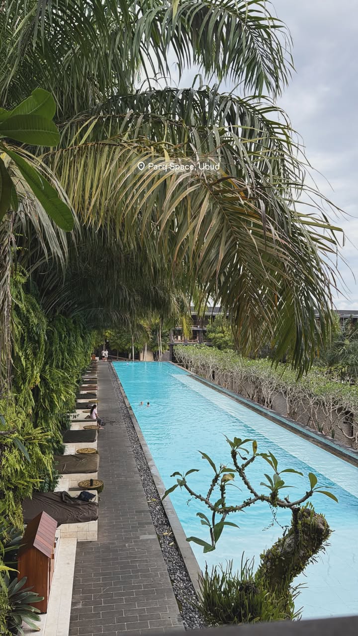 новая фото в сторис @alleksasa 13.02.2026