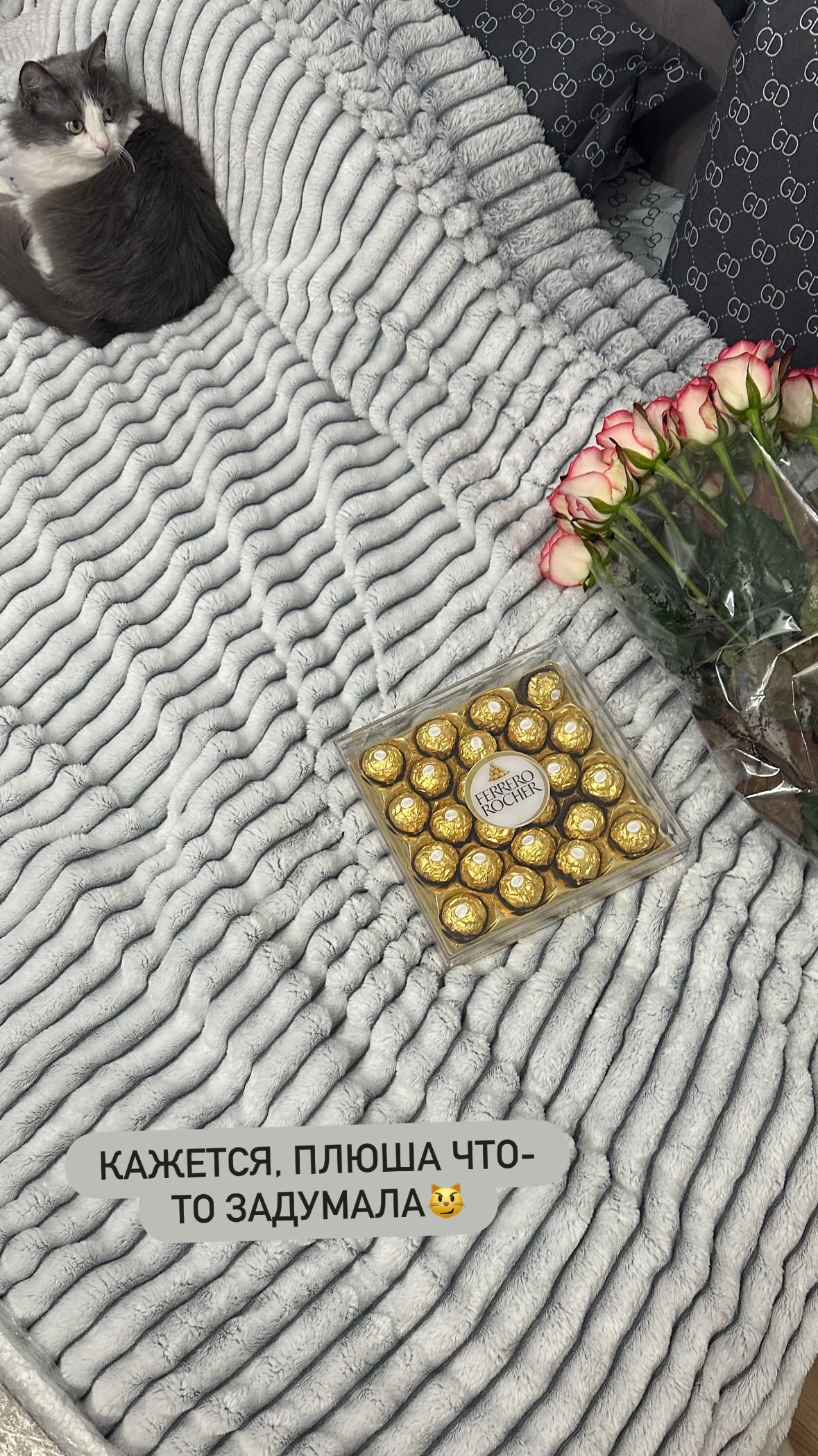 новая фото в сторис @lubashavip 13.02.2026