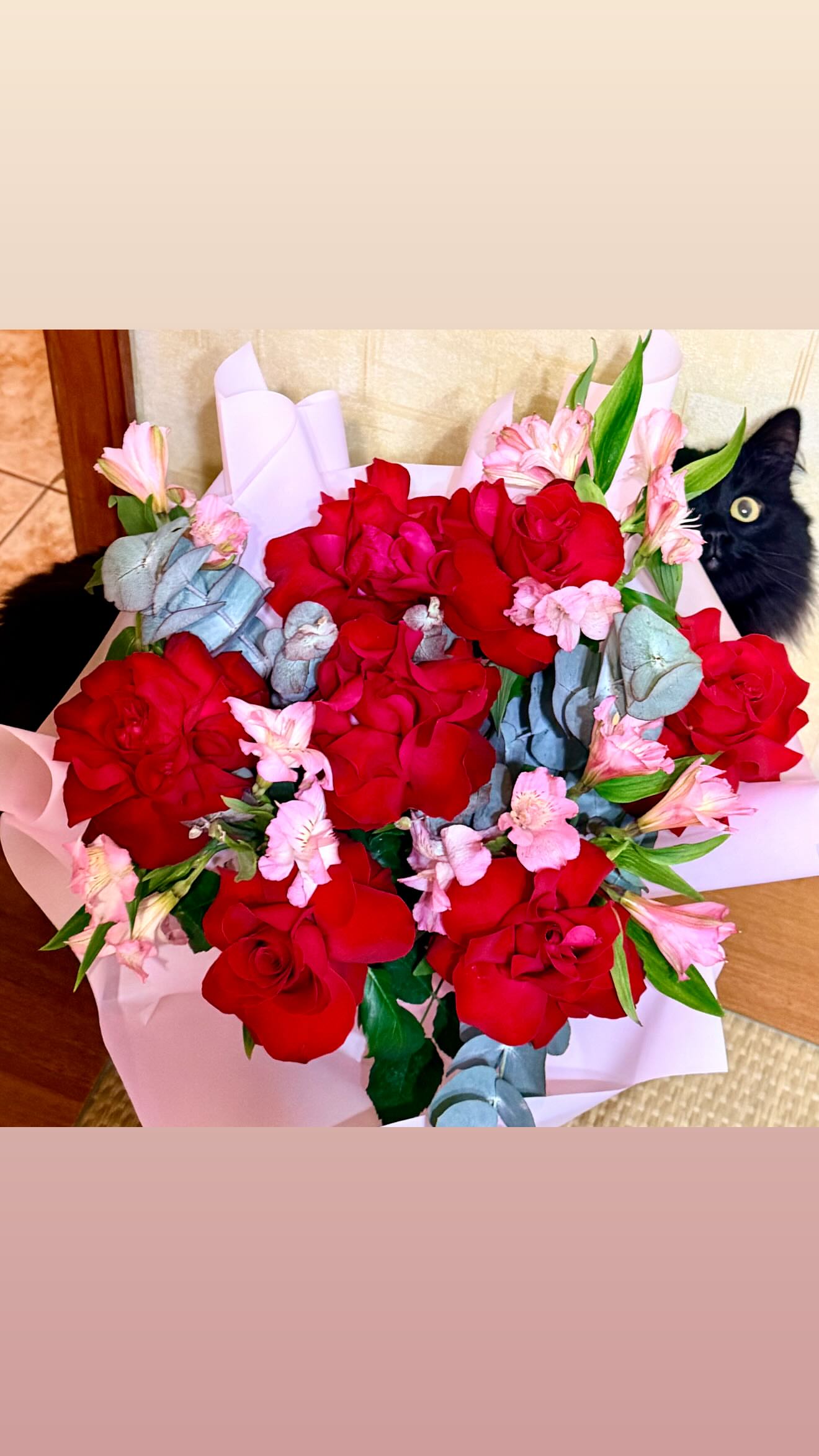 новая фото в сторис @olga_belova87 14.02.2026