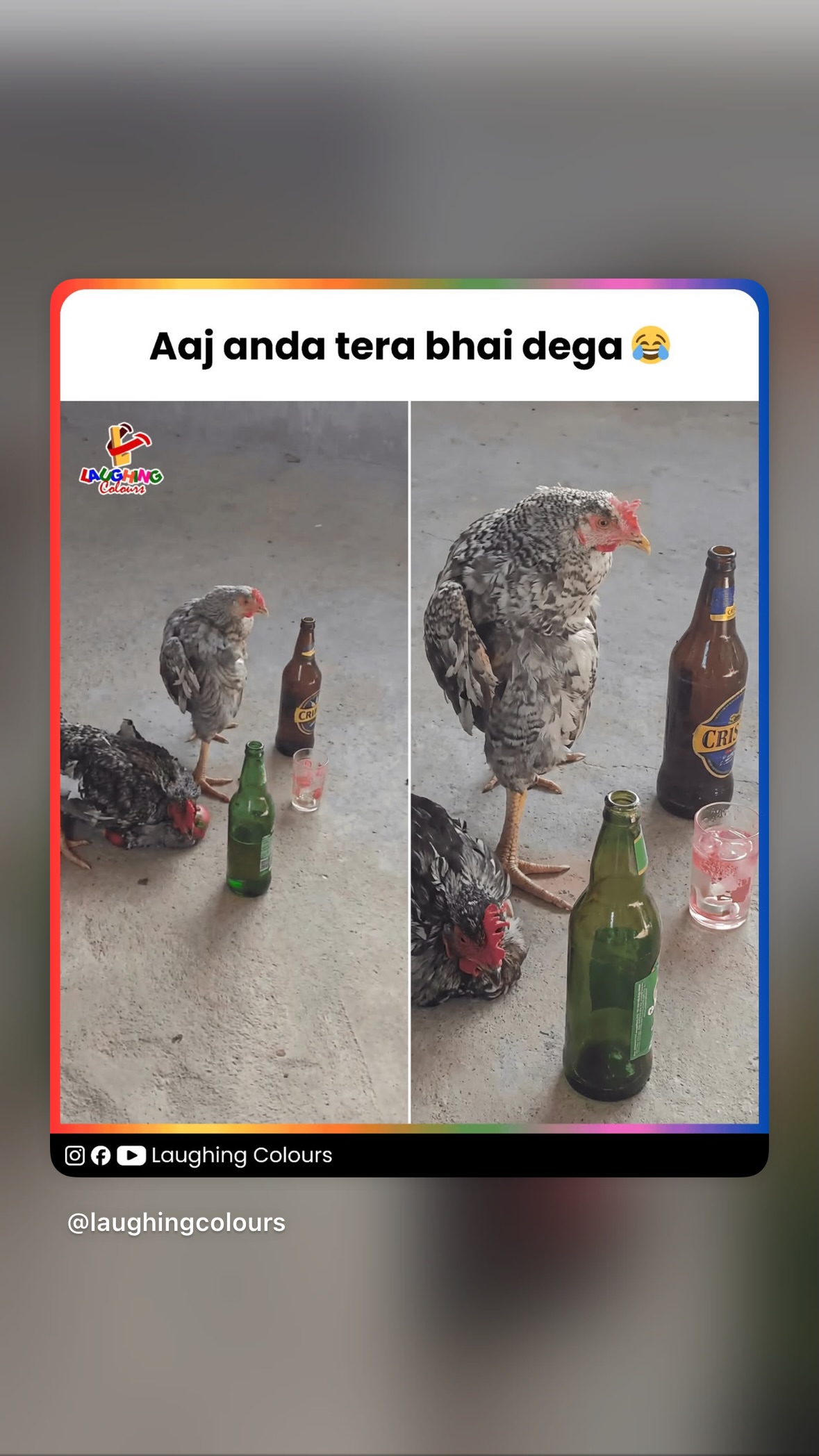 новая фото в сторис @archanataide 15.02.2026