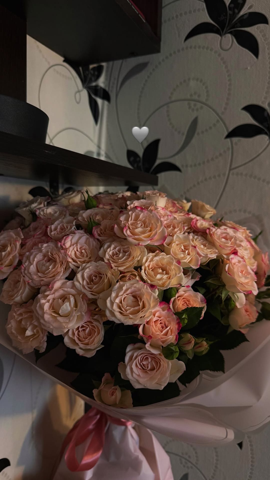 новая фото в сторис @nezabbudkaa 15.02.2026