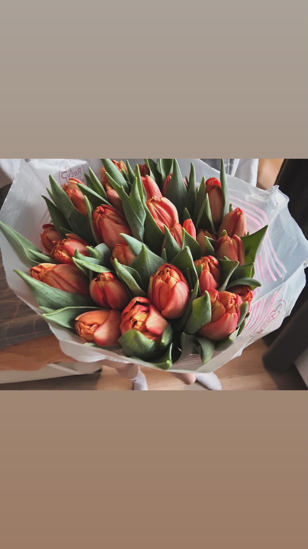 новая фото в сторис @evaeywa 15.02.2026