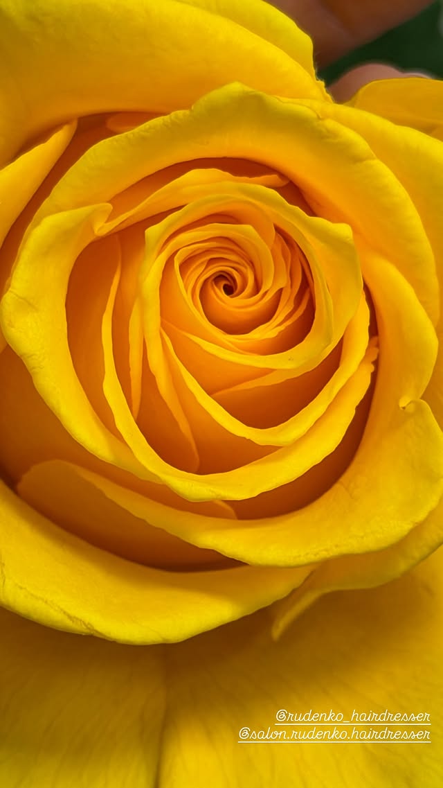 новая фото в сторис @rudenko_hairdresser 15.02.2026