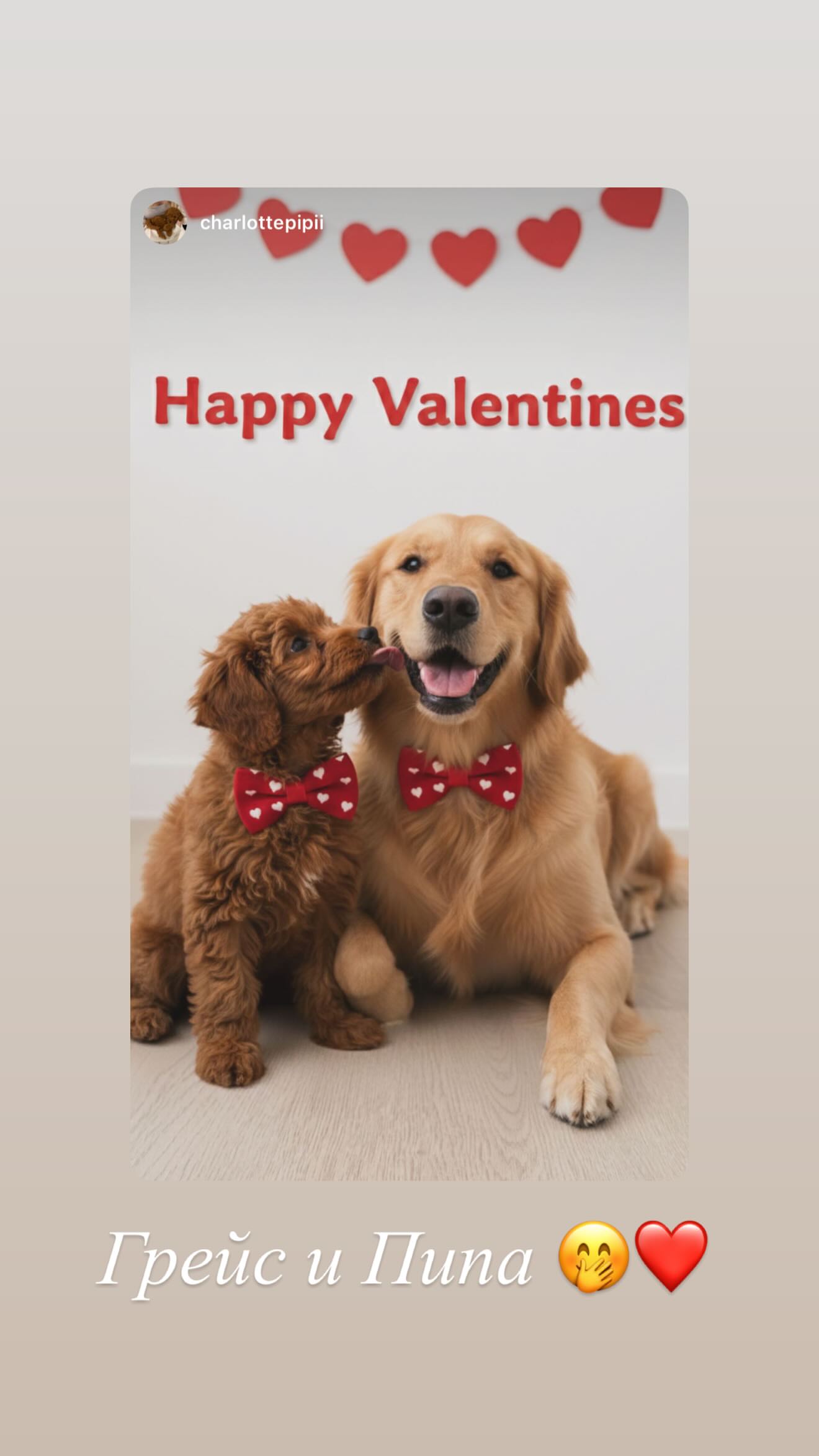 новая фото в сторис @katyajuja555 15.02.2026