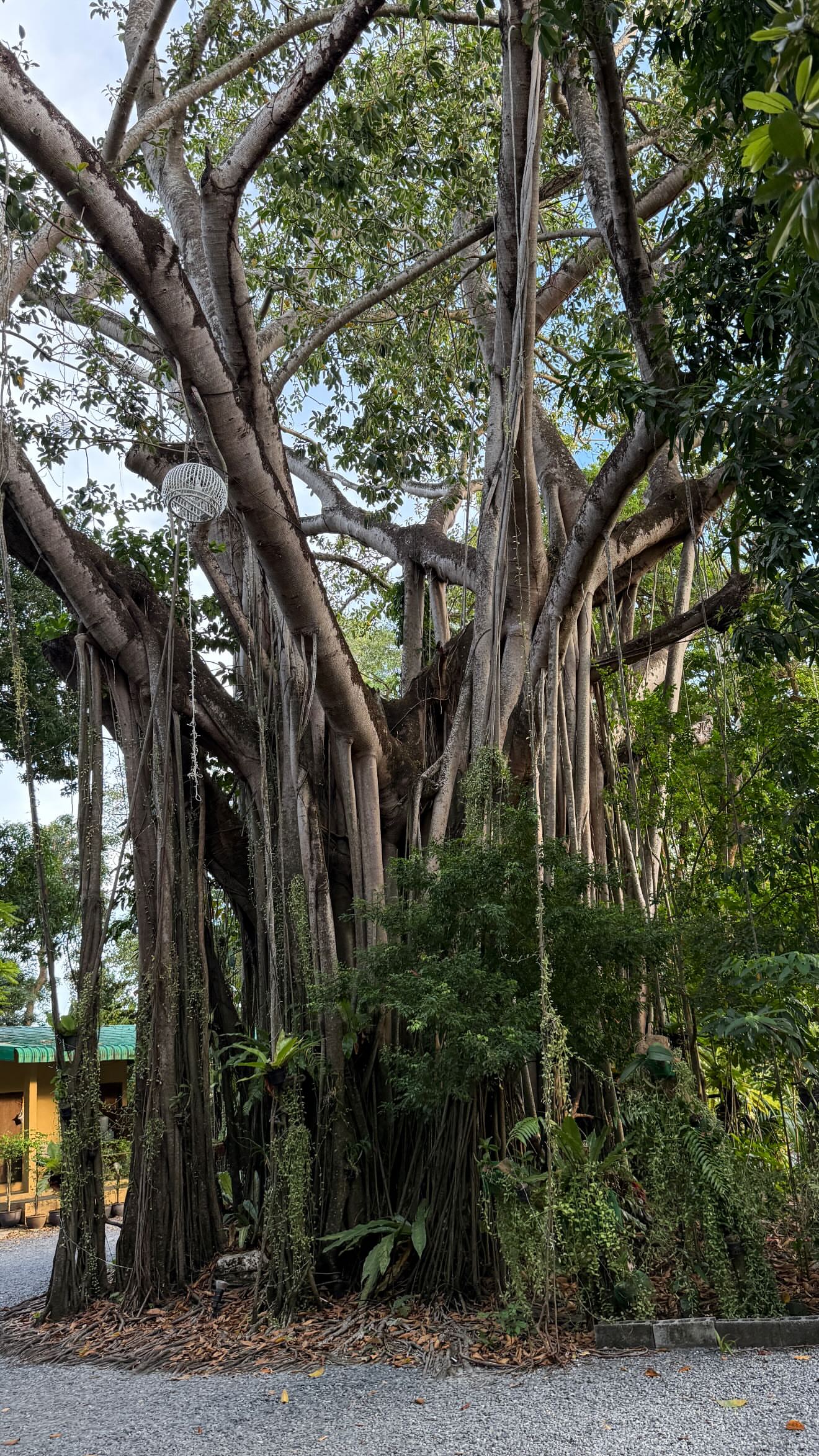 новая фото в сторис @neigraysognem 16.02.2026