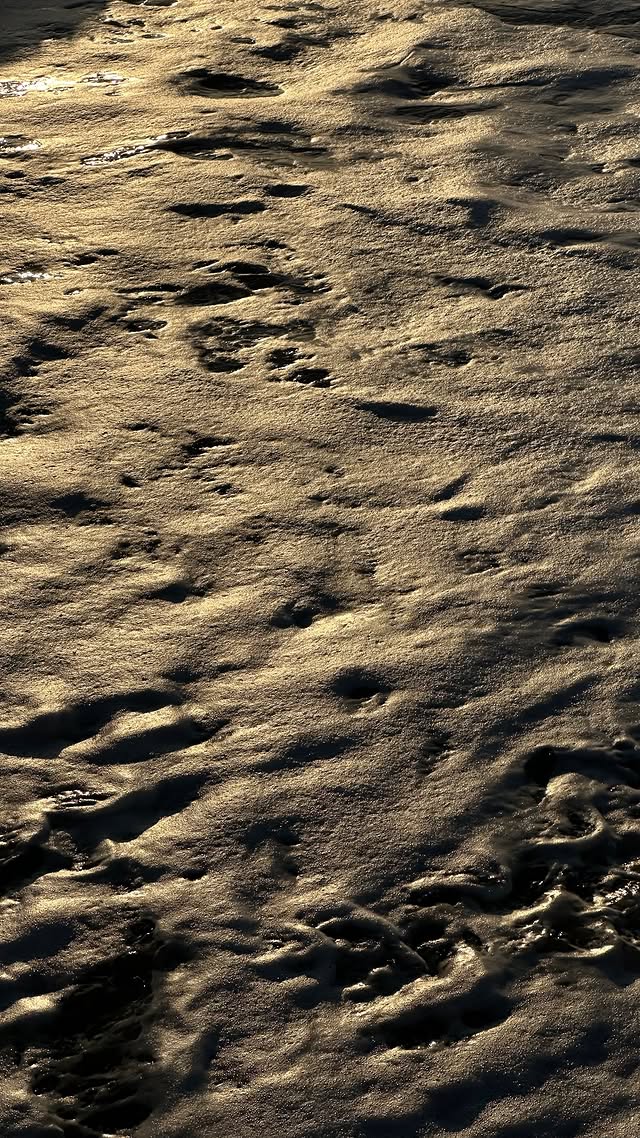 новая фото в сторис @klimova.evgeniya 16.02.2026