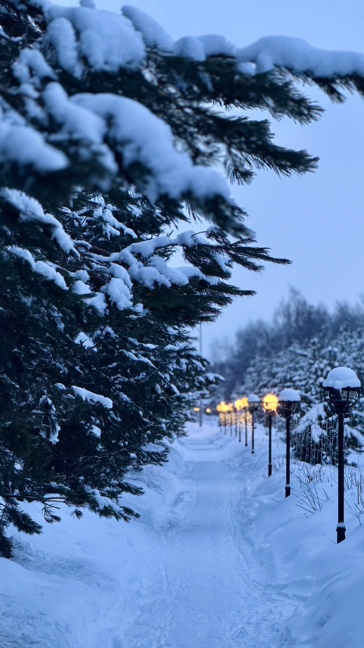 новая фото в сторис @stasyalyalya 16.02.2026