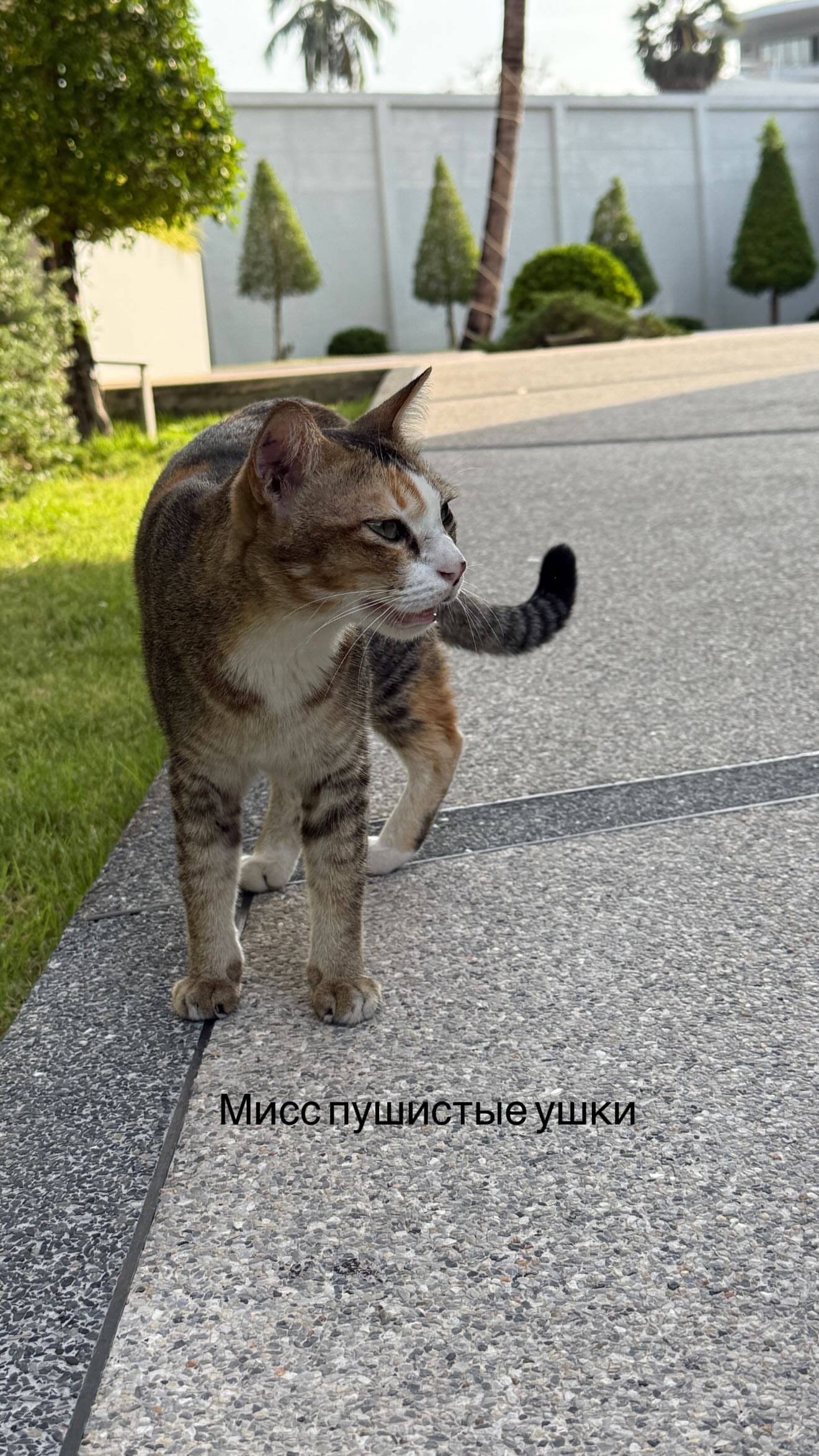 новая фото в сторис @neigraysognem 16.02.2026