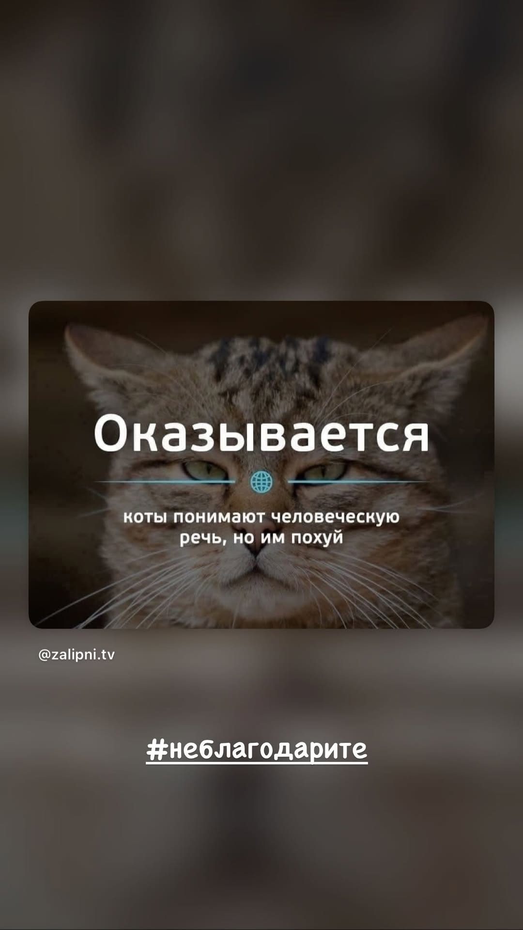 новая фото в сторис @olchik26 17.02.2026