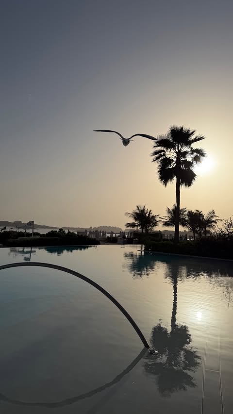 новая фото в сторис @jesya_ 17.02.2026