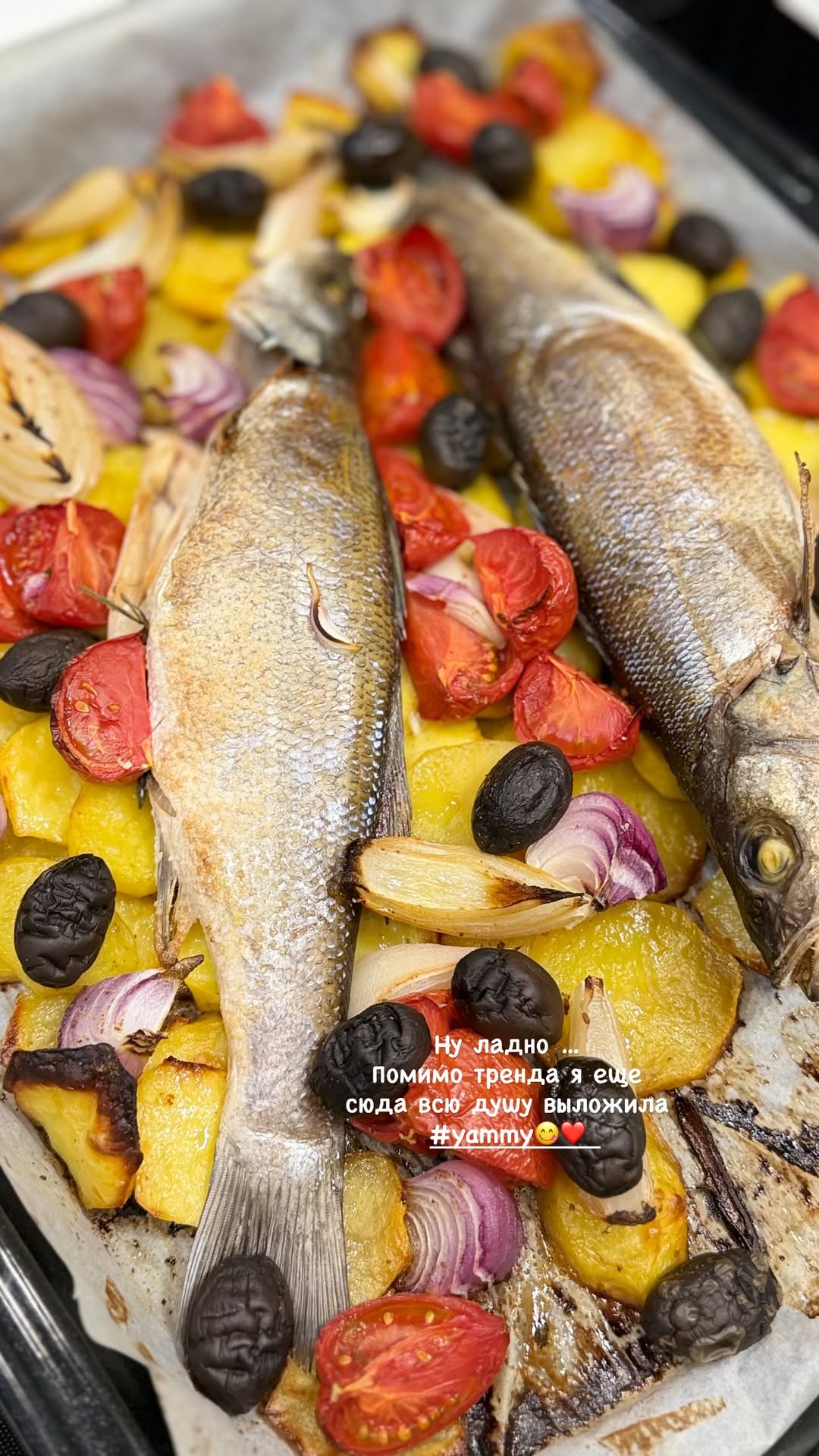 новая фото в сторис @olchik26 17.02.2026