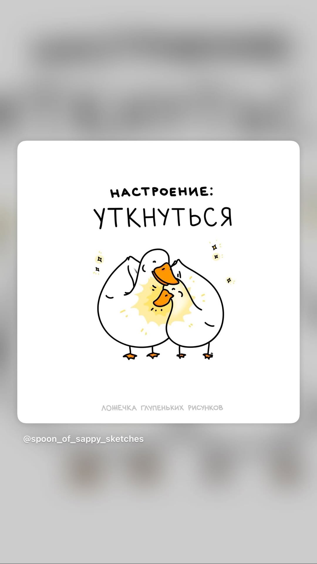 новая фото в сторис @neigraysognem 18.02.2026