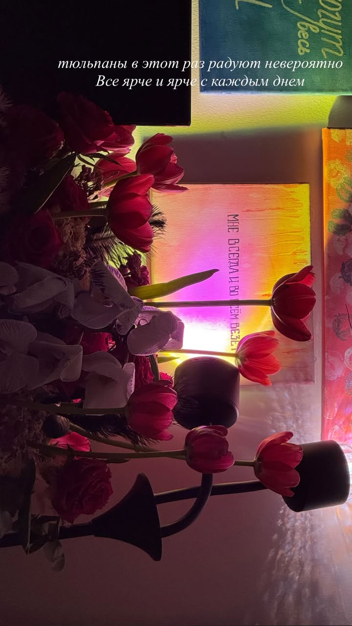 новая фото в сторис @ignatovakkkk 17.02.2026