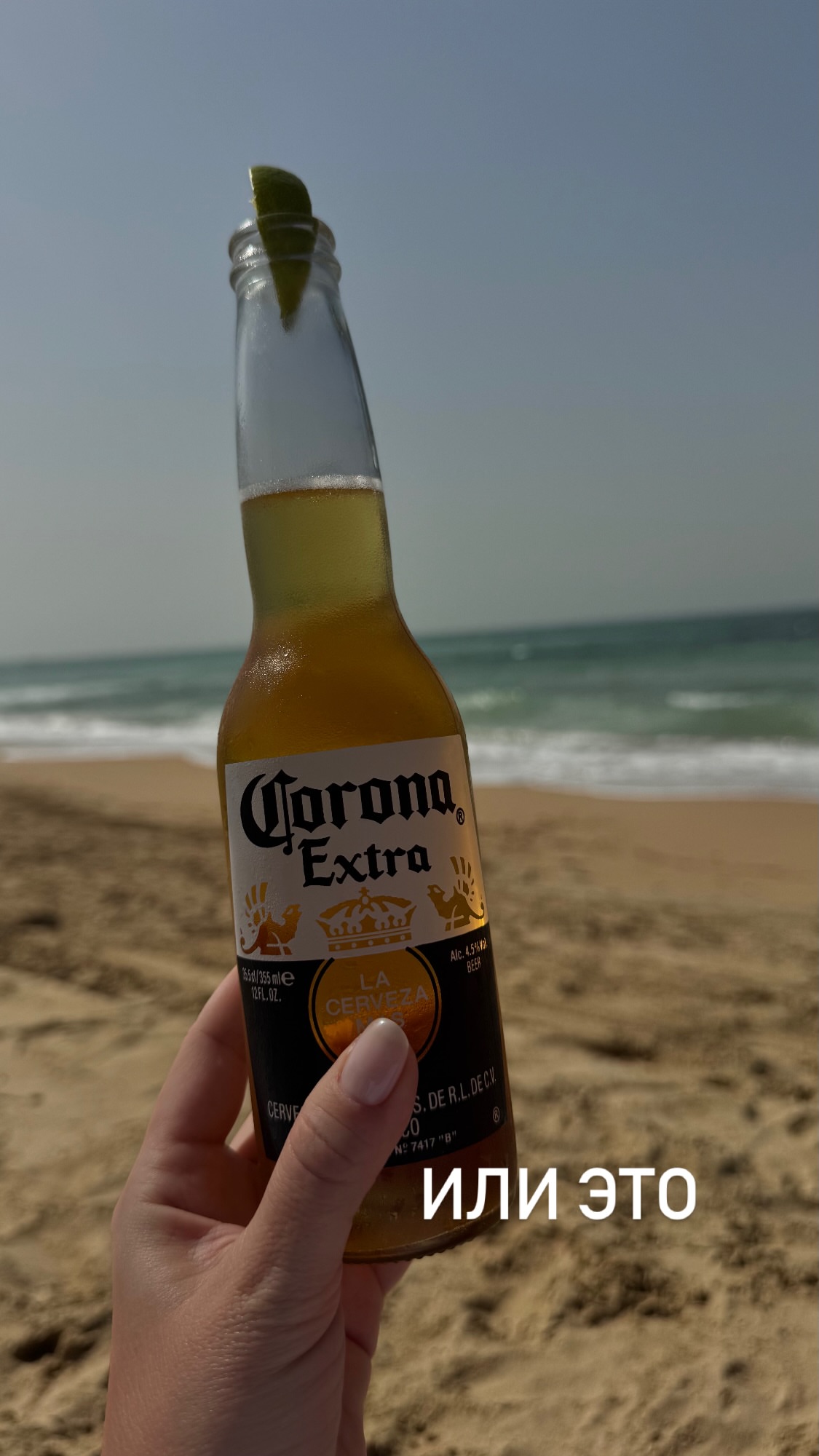 новая фото в сторис @elenabushina 18.02.2026