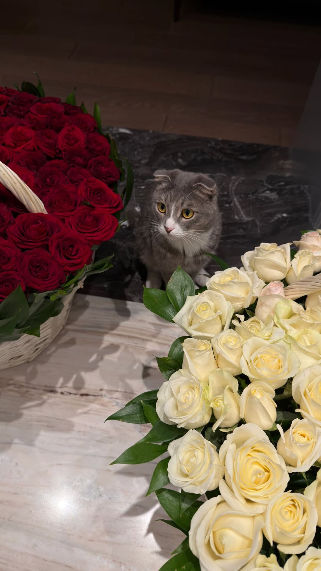 новая фото в сторис @borodylia 18.02.2026