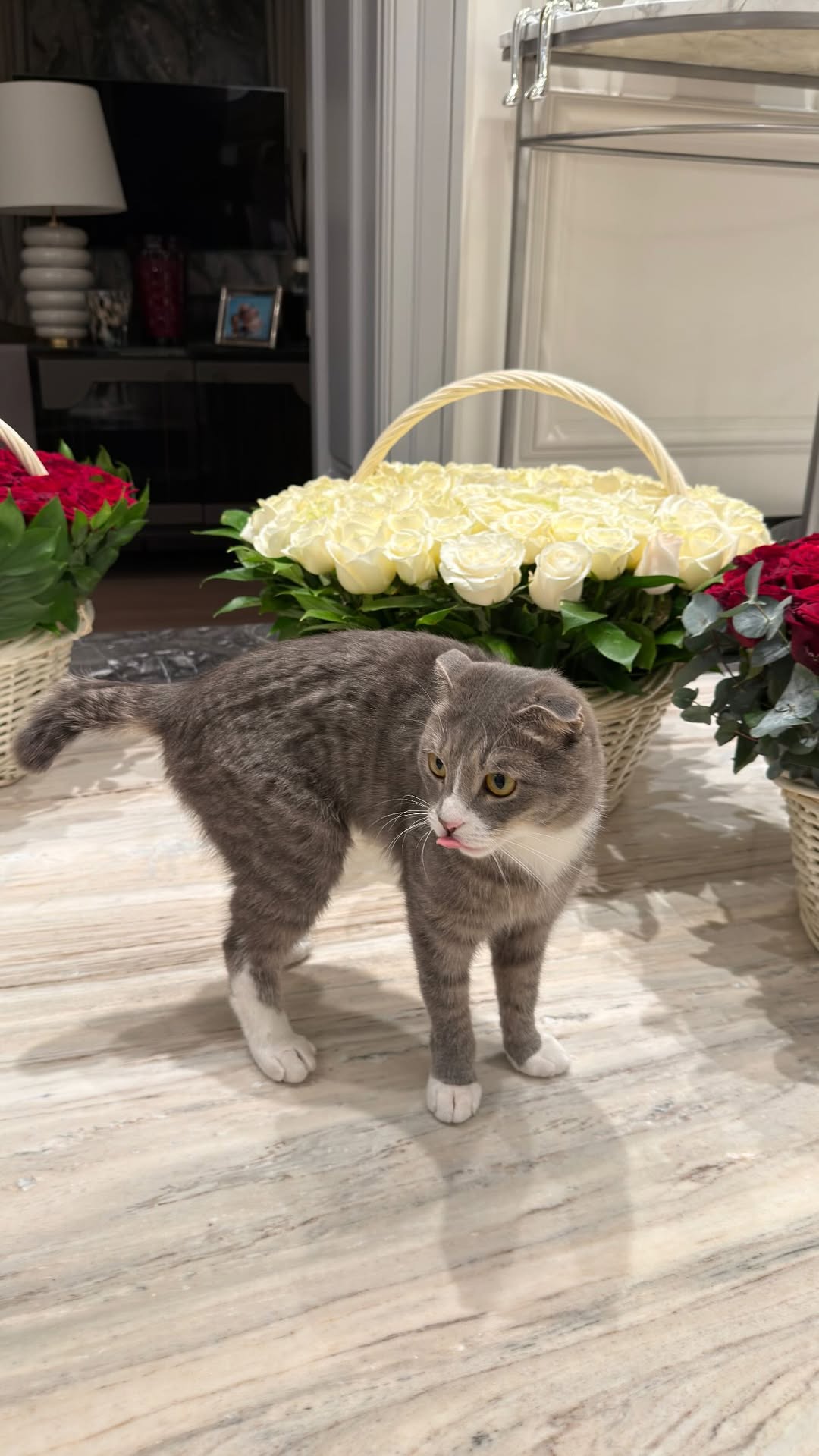 новая фото в сторис @borodylia 18.02.2026