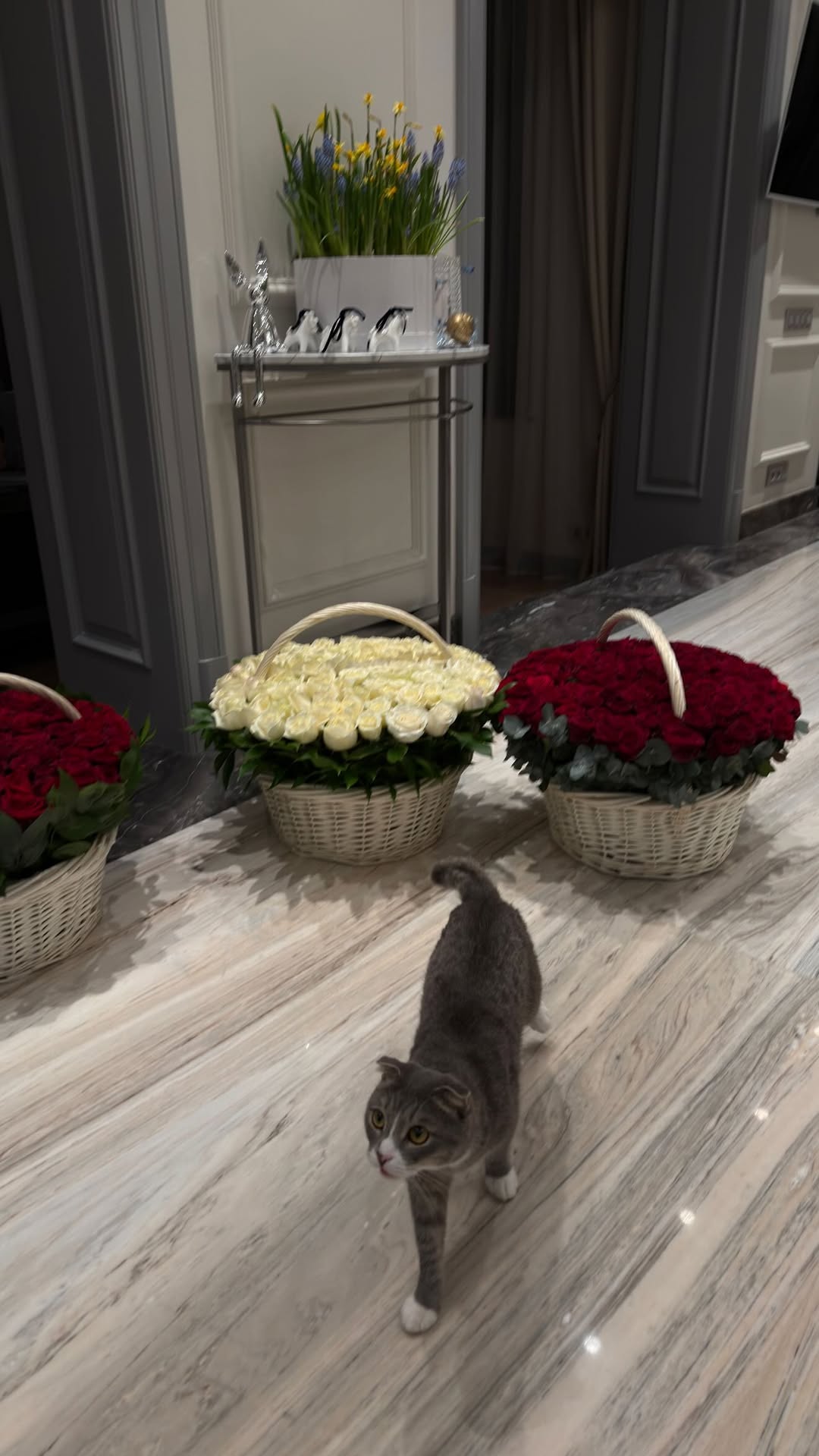 новая фото в сторис @borodylia 18.02.2026