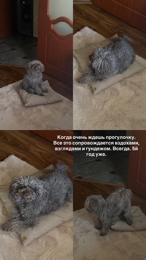 новая фото в сторис @oksa.igonina 18.02.2026