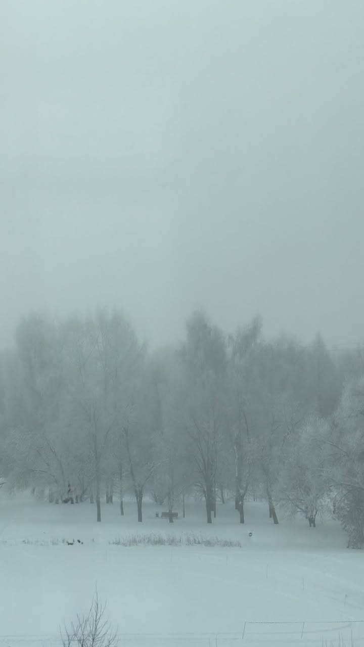 новая фото в сторис @allazotina 18.02.2026