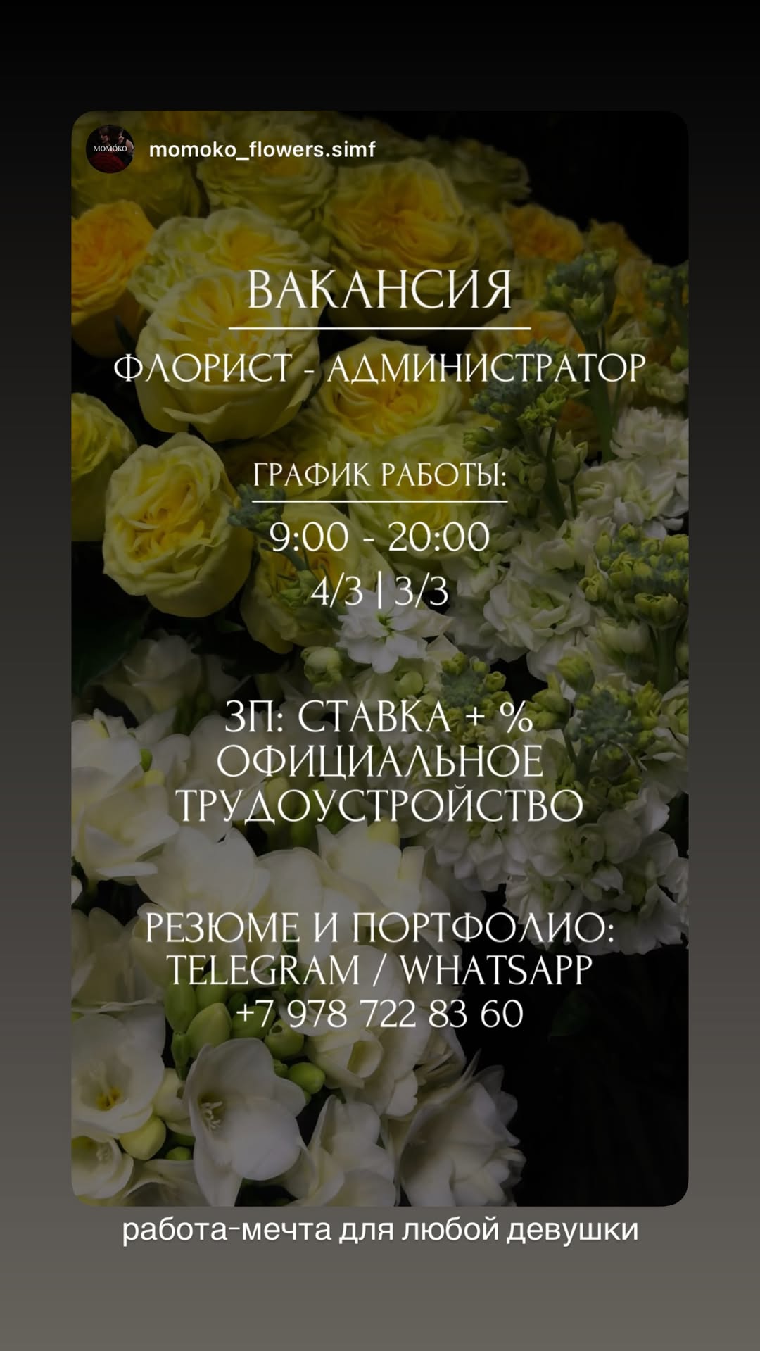 новая фото в сторис @shopogolik_crimea_ 18.02.2026