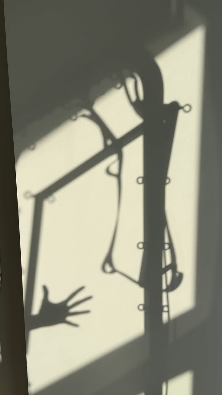 новая фото в сторис @allazotina 18.02.2026