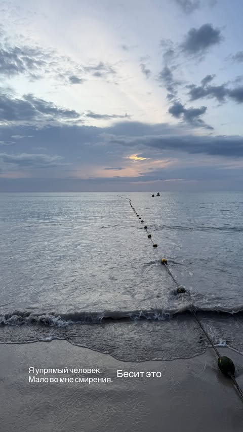 новая фото в сторис @neigraysognem 18.02.2026