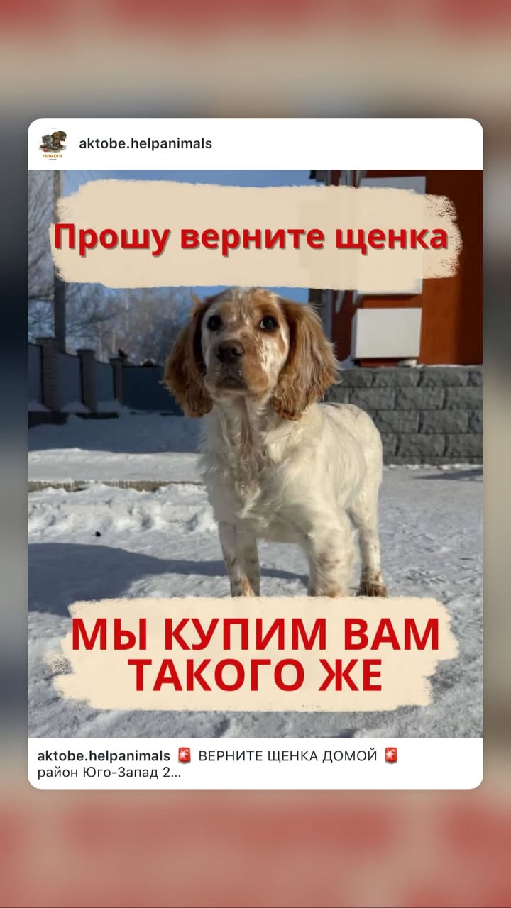 новая фото в сторис @katyajuja555 19.02.2026