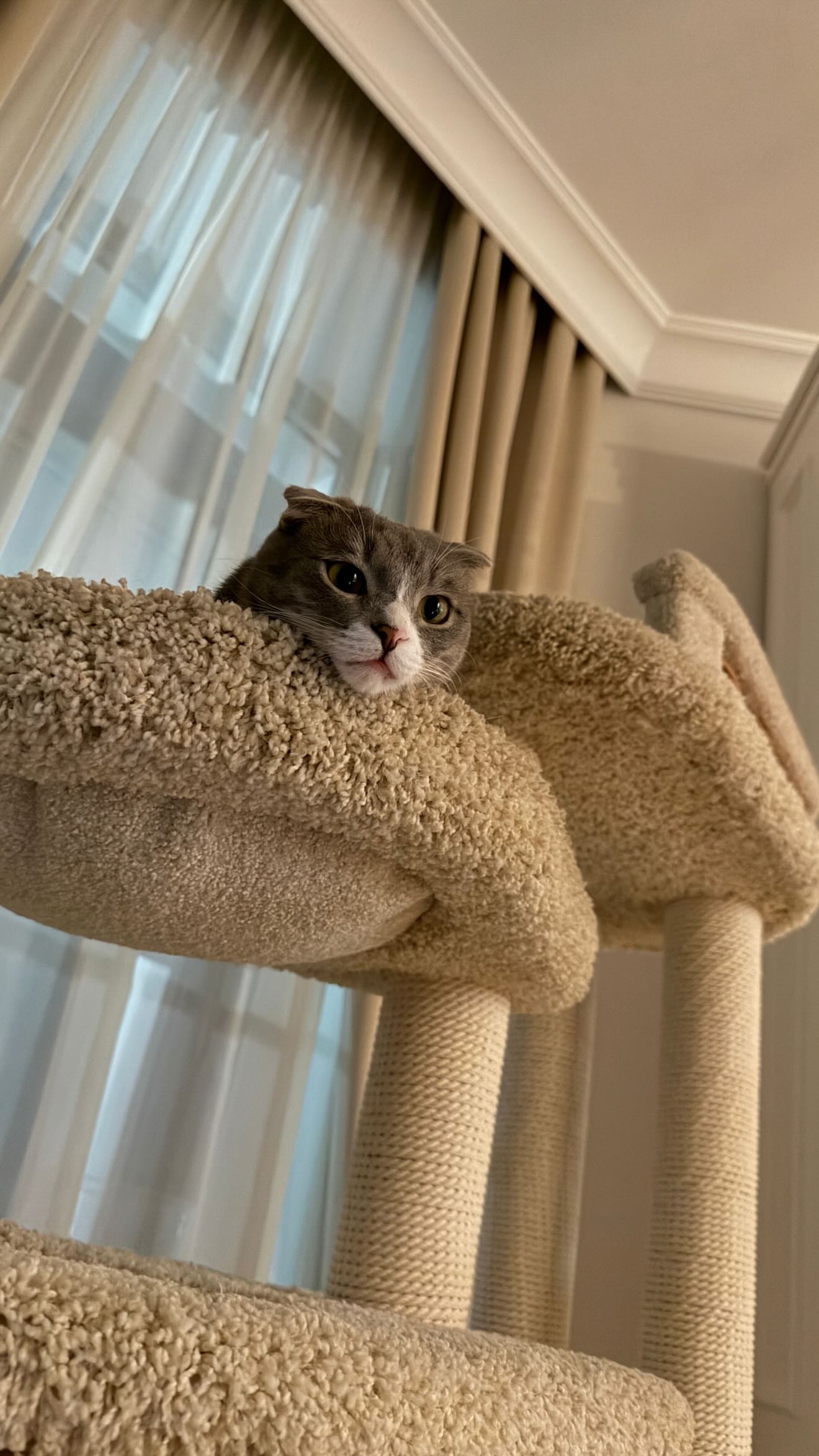 новая фото в сторис @borodylia 18.02.2026